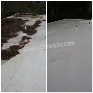 experts roof washing service