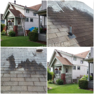 professional roof washing services