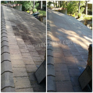 experts roof cleaning service