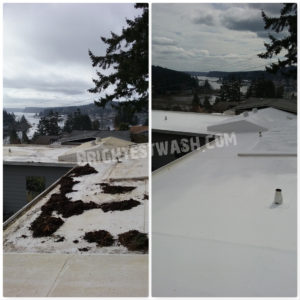 expert roof washing services
