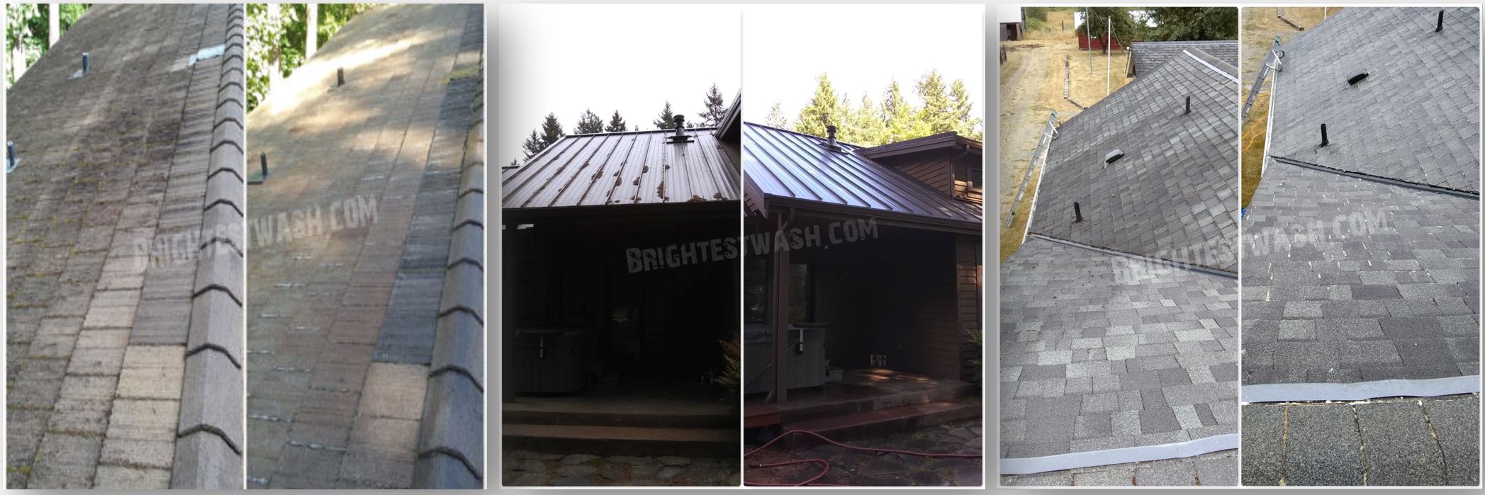 best professional roof washing company in Poulsbo