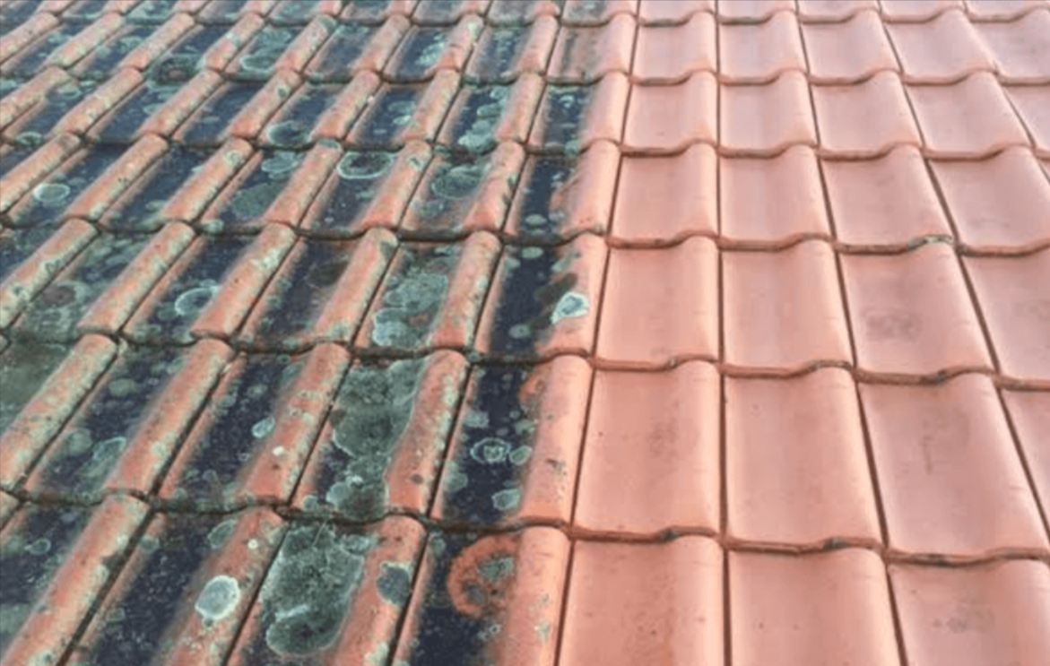 Soft-Wash Roof Treatment