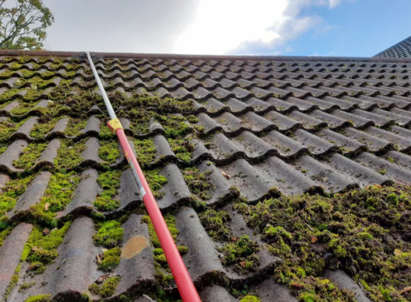 Roof Cleaning Specialists Serving Bremerton, WA